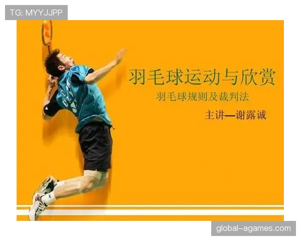 比赛用球的规格与裁判判罚标准详解